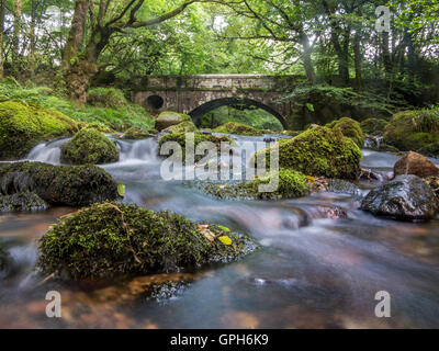 Flüsse und Wasserfälle auf Dartmoor in Devon Stockfoto