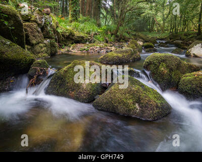 Flüsse und Wasserfälle auf Dartmoor in Devon Stockfoto