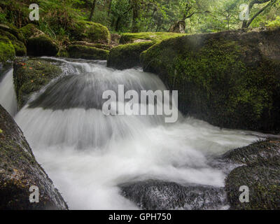 Flüsse und Wasserfälle auf Dartmoor in Devon Stockfoto