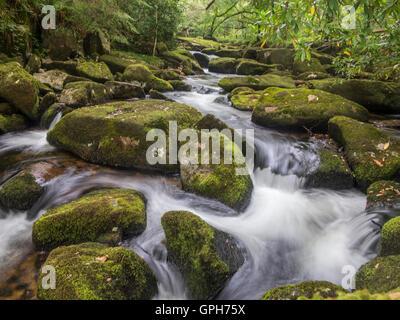 Flüsse und Wasserfälle auf Dartmoor in Devon Stockfoto