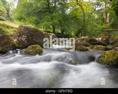 Flüsse und Wasserfälle auf Dartmoor in Devon Stockfoto