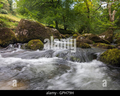 Flüsse und Wasserfälle auf Dartmoor in Devon Stockfoto