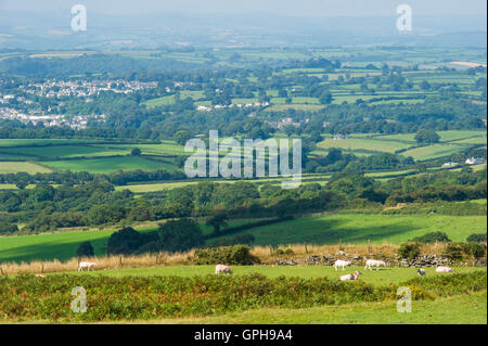 Landschaften in Dartmoor Stockfoto