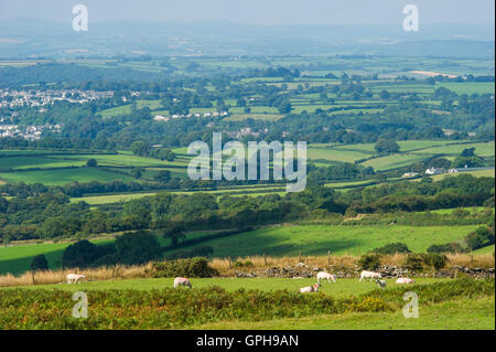 Landschaften in Dartmoor Stockfoto