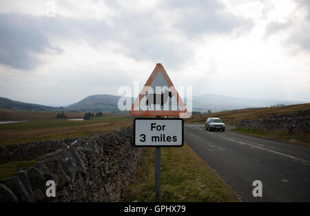 Eine verunstaltete Schafe überqueren Zeichen erscheint ähnlich einem Nashorn entlang einer Straße in Cumbria Stockfoto