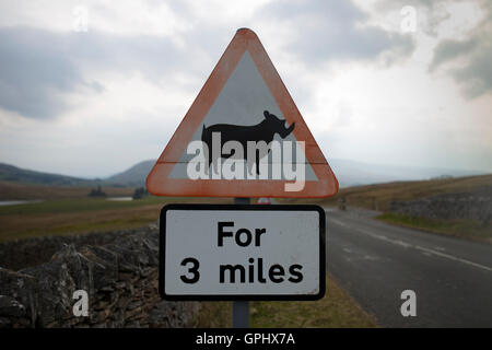 Eine verunstaltete Schafe überqueren Zeichen erscheint ähnlich einem Nashorn entlang einer Straße in Cumbria Stockfoto