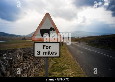 Eine verunstaltete Schafe überqueren Zeichen erscheint ähnlich einem Nashorn entlang einer Straße in Cumbria Stockfoto