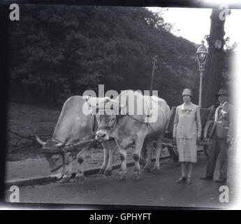 1920er Jahre, historisch, Tschechoslowakei. Paar auf Grand Tour posieren mit Vieh und Wagen. Stockfoto