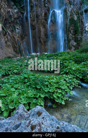 Veliki Slap Wasserfall Hauptteil im Nationalpark Plitvicer Seen, Kroatien Stockfoto