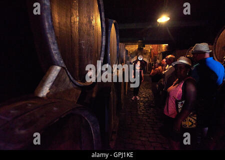 Weinprobe auf dem Weingut Bodegas Monje. Besuchen Sie eines der renommiertesten Weingüter in Teneriffa Stockfoto
