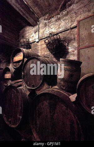 Weinprobe auf dem Weingut Bodegas Monje. Besuchen Sie eines der renommiertesten Weingüter in Teneriffa Stockfoto