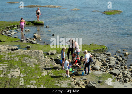 Familie Rockpooling und fossilen Jagd am Ufer Ufer bei Lyme Regis in Dorset England UK KATHY DEWITT Stockfoto