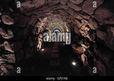 Weinprobe auf dem Weingut Bodegas Monje. Besuchen Sie eines der renommiertesten Weingüter in Teneriffa Stockfoto