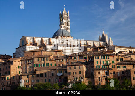 Blick auf Siena Altstadt mit Dom Stockfoto