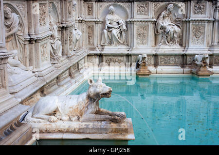 Fonte Gaia (Brunnen der Welt) in Siena, Italien Stockfoto