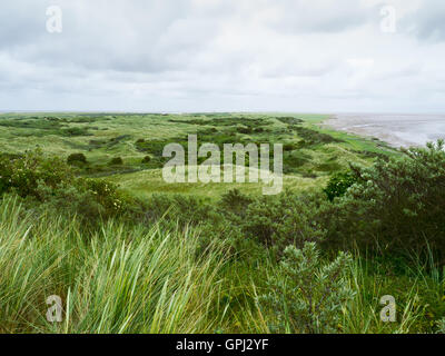 Dünen auf der Insel Ameland Stockfoto