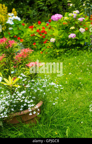 Home Garten im Sommer Stockfoto