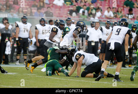 City, Florida, USA. 3. Sep, 2016. OCTAVIO JONES | Zeiten. Towson Tigers Wide Receiver Andre Dessenberg (18) läuft der Ball im ersten Quartal im Raymond James in Tampa auf Samstag, 3. September 2016. © Octavio Jones/Tampa Bay Times / ZUMA Draht/Alamy Live News Stockfoto