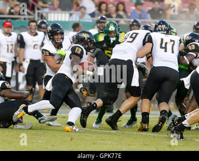 City, Florida, USA. 3. Sep, 2016. OCTAVIO JONES | Zeiten. Towson Tigers Wide Receiver Dillon Tighe (13) läuft der Ball im ersten Quartal im Raymond James in Tampa auf Samstag, 3. September 2016. © Octavio Jones/Tampa Bay Times / ZUMA Draht/Alamy Live News Stockfoto