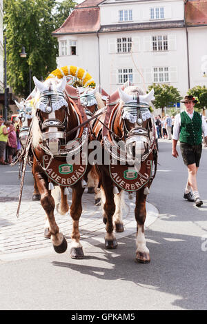 Rosenheim, Deutschland, 04.09.2016: Erntedankfest Parade in Rosenheim Stockfoto