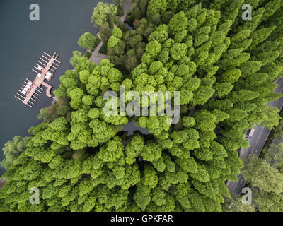 Hangzhou. 11. April 2016. Foto aufgenommen am 11. April 2016 zeigt eine Ansicht der Westsee in Hangzhou, Hauptstadt der ostchinesischen Provinz Zhejiang. Der 11. G20-Gipfel fand in Hangzhou ab Sept. 4 bis 5. © Huang Zongzhi/Xinhua/Alamy Live-Nachrichten Stockfoto