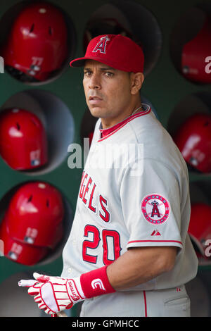 9. Juni 2010; Oakland, Kalifornien, USA;  Los Angeles Angels linker Feldspieler Juan Rivera (20) vor dem Spiel gegen die Oakland Athletics im Oakland-Alameda County Coliseum. Los Angeles besiegte Oakland 7-1. Stockfoto