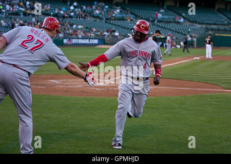 Juni 21, 2010; Oakland, Ca, USA; Cincinnati Reds zweiter Basisspieler Brandon Phillips (4) feiert mit dritten Basisspieler Scott Rolen (27), nachdem er ein Run gegen die Oakland Athletics im ersten Inning in Oakland-Alameda County Coliseum. Stockfoto