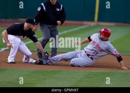 21. Juni 2010; Oakland, Kalifornien, USA;  Cincinnati Reds erster Basisspieler Joey Votto (19) ist, in der dritten Base von Oakland Athletics Dritter Basisspieler Kevin Kouzmanoff (5) während der ersten Inning im Oakland-Alameda County Coliseum getaggt. Stockfoto