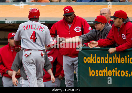 22. Juni 2010; Oakland, Kalifornien, USA;  Cincinnati Reds zweiter Basisspieler Brandon Phillips (4) ist von Teamkollegen gratulierte nach scoring einen Lauf gegen die Oakland Athletics während der dritten Inning bei Oakland-Alameda County Coliseum. Stockfoto