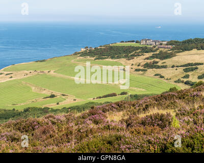 Raven Sie Hall Hotel Ravenscar Yorkshire UK von North York Moors an Heather mal gesehen Stockfoto