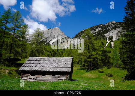 Eine Schäferhütte auf dem Vršič-Pass in den Julischen Alpen Nordslowenien. Der Pass wurde von russischen Kriegsgefangenen im ersten Weltkrieg gebaut. Stockfoto