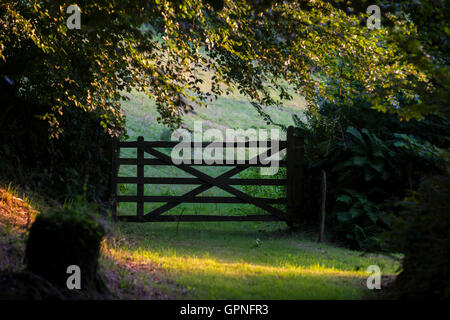 Eine fünf bar Tor in Devon Landschaft Stockfoto