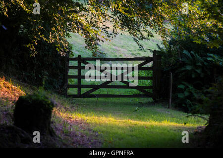 Eine fünf bar Tor in Devon Landschaft Stockfoto