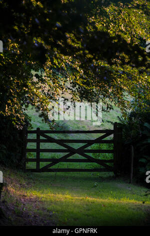 Eine fünf bar Tor in Devon Landschaft Stockfoto