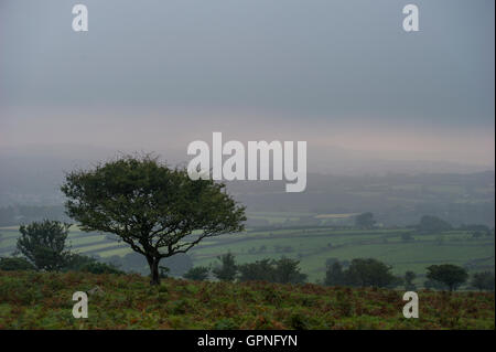 Landschaften in Dartmoor Stockfoto