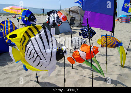 Barmouth Kite Festival Nord-Wales Stockfoto