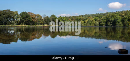 Bäume spiegeln sich in See von Swiss Cottage, Chatsworth Park, Derbyshire, England, UK Stockfoto