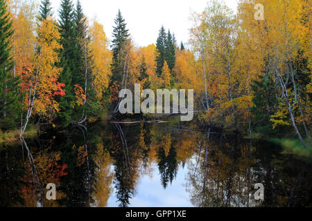 Bergfluss mit Stromschnellen im Herbst Blätter auf dem Wasser schweben. Herbstwald