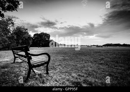 Einsame Parkbank in Clifton Abstiege in Bristol GB in Schwarz & Weiß Stockfoto