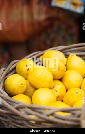 Frische gelbe Zitronen in einen Korb mit Obst auf einem Bauernmarkt Stockfoto