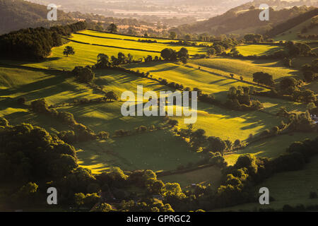 Frühen Morgenlicht auf South Shropshire Landschaft gesehen von Caer Caradoc, Shropshire, England, UK. Stockfoto