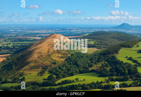 Die Lawley und das Wrekin im Sommer gesehen von Caer Caradoc, Shropshire, England, UK. Stockfoto