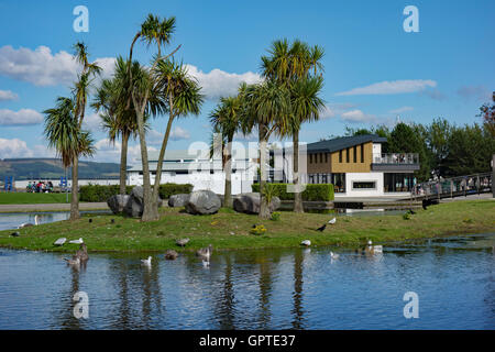 Agnew Park am Meer in Stranraer, Wigtownshire. Das Driftwood Cafe ist auf der rechten Seite des Fotos. Stockfoto