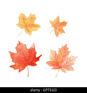 Im Herbst Ahornblätter farbige Set Aquarell Stockfoto