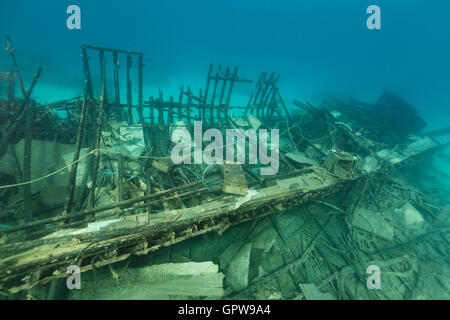 Safari-Boot Wrack und Wasserpflanzen leben im Roten Meer. Stockfoto