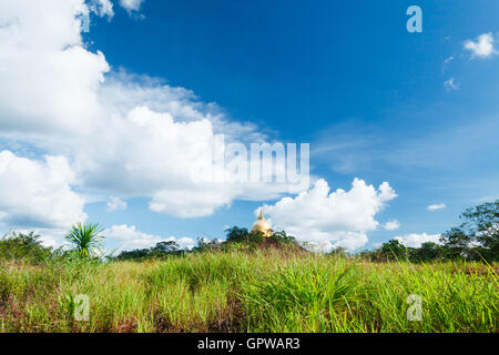 Phurungka National Prak Stockfoto