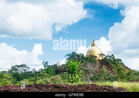 Phurungka National Prak Stockfoto