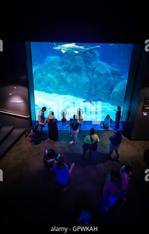 Öffentliche Aquarium, Camden, NJ. Stockfoto