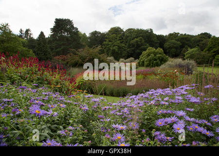 Harrogate, Großbritannien. bunte Blumen noch sichtbar, wie Sommer kommt zu einem Ende an RHS Garden Harlow Carr in Harrogate, North yorkshir Stockfoto