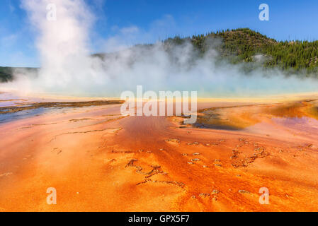 Grand Prismatic Spring im Yellowstone National Park Stockfoto